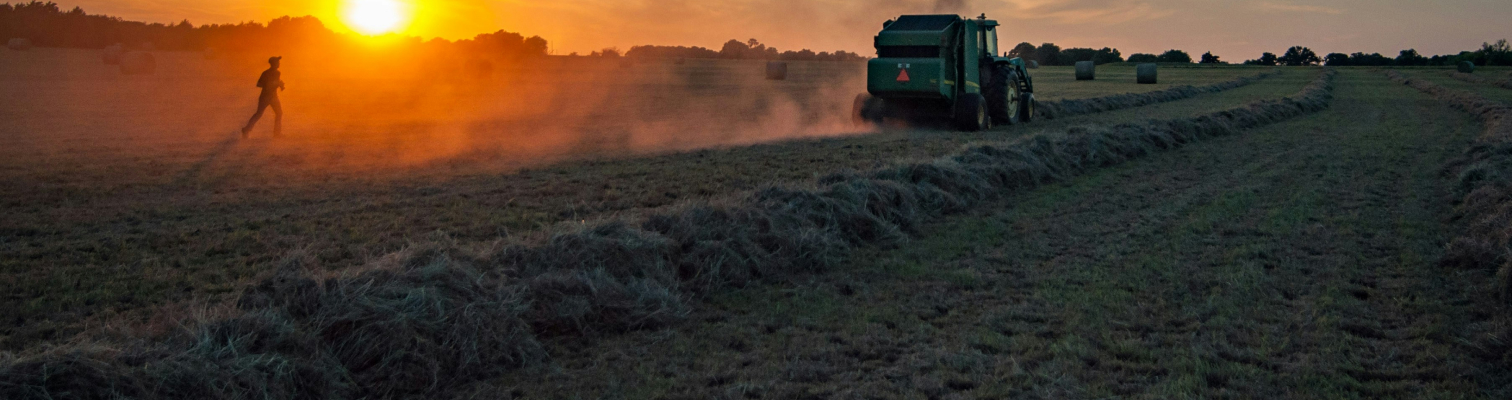 Photograph of a farm at sunrise