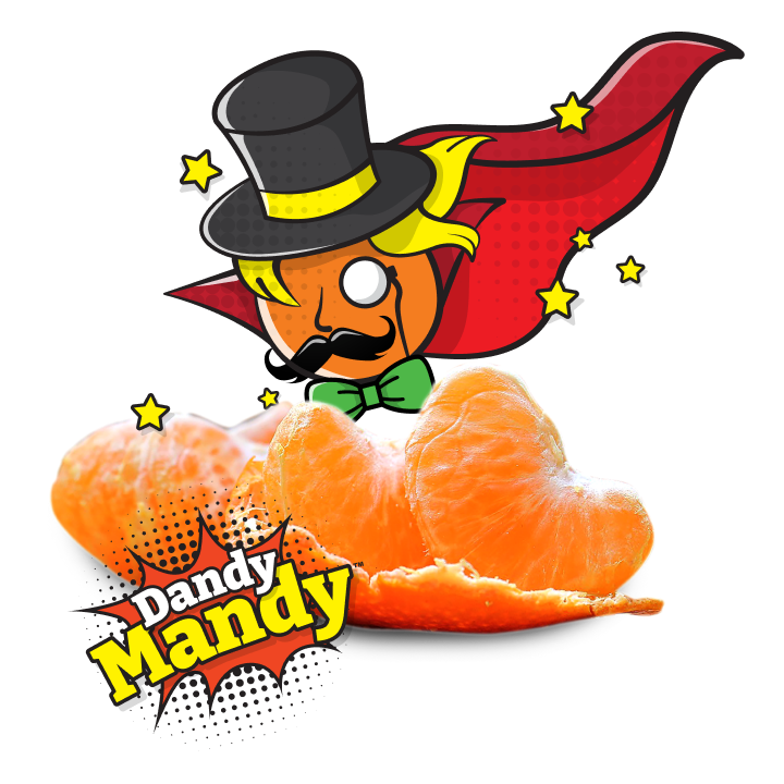 Dandy mandy illustration