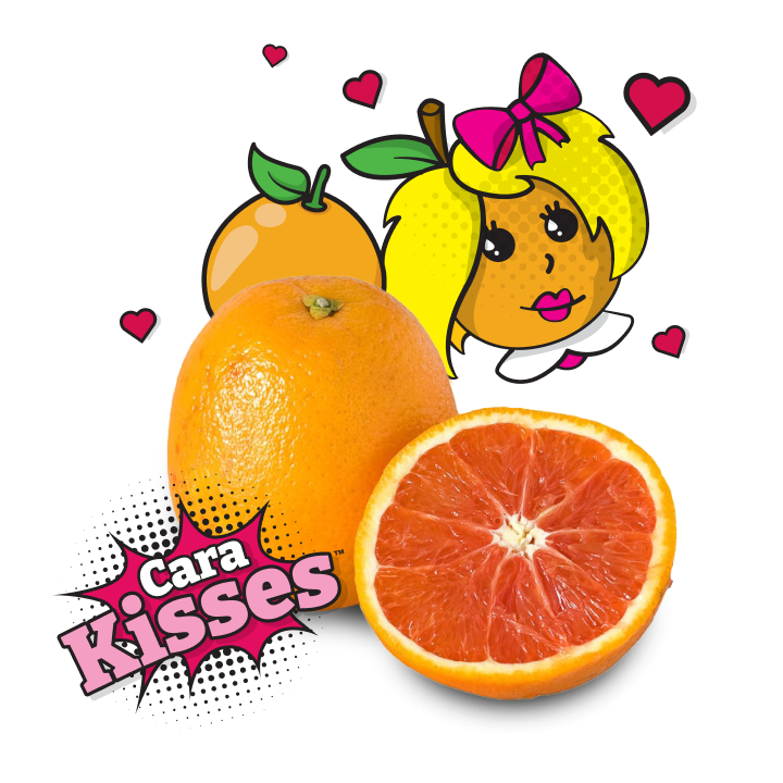 Cara kisses illustration